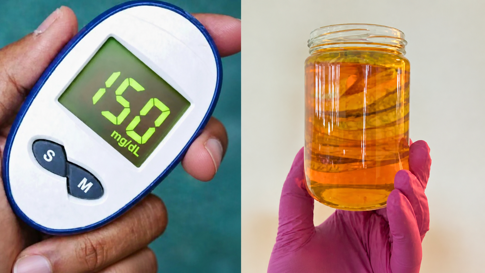 Missing protein blood sugar discovery